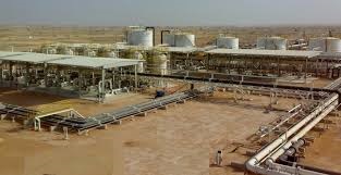 Oil and Gas industry Manpower Supply in Pdo at MOL Oman LTD.